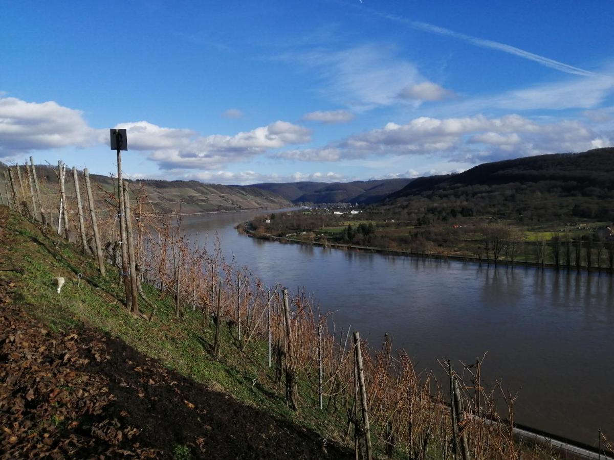 Pension Pauly Boppard Exteriör bild